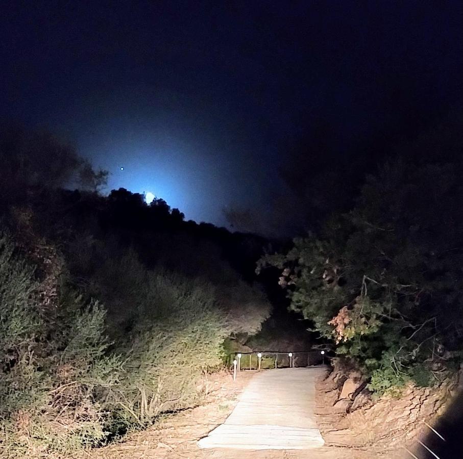Azienda Agrituristica La Janna Di La Faj 부도니 외부 사진