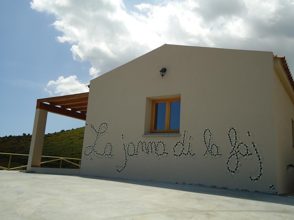 Azienda Agrituristica La Janna Di La Faj 부도니 외부 사진