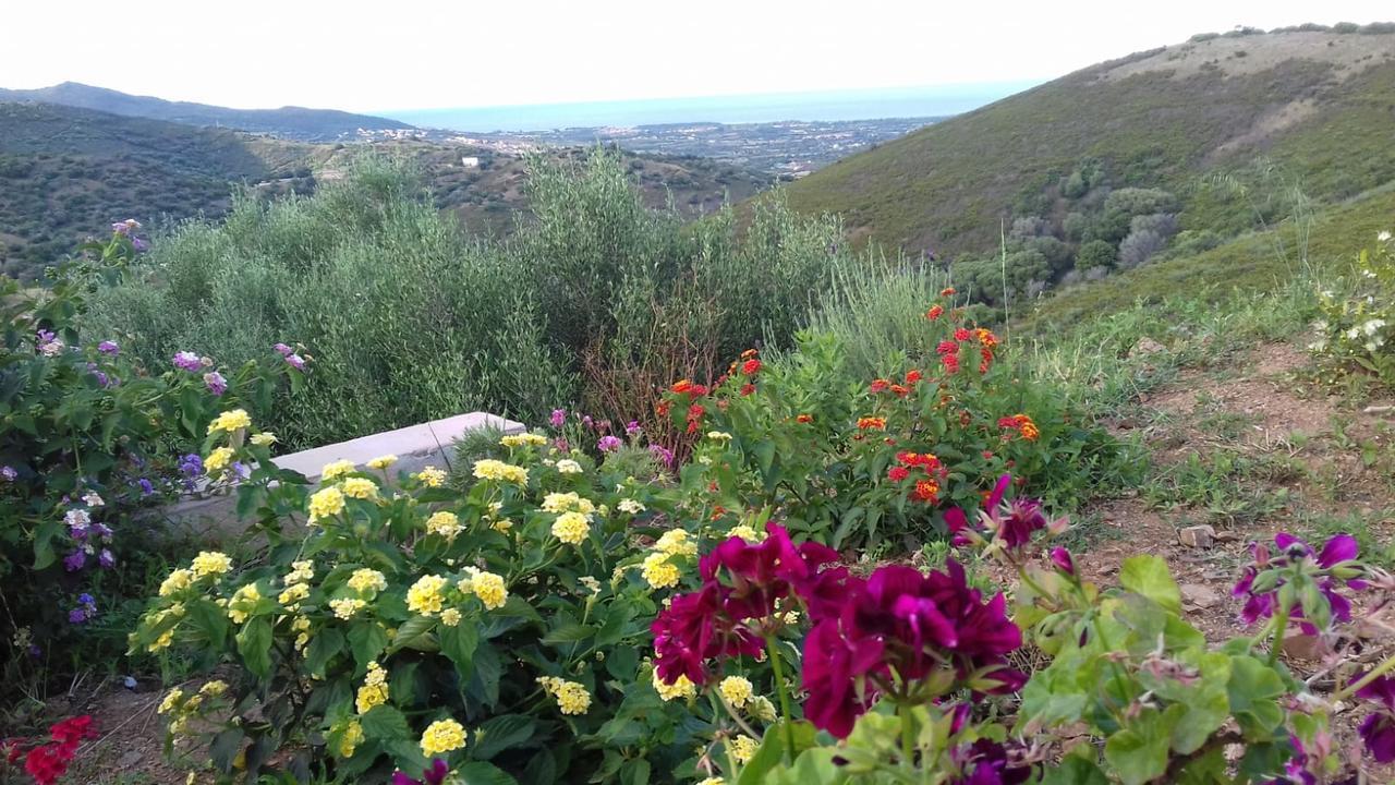 Azienda Agrituristica La Janna Di La Faj 부도니 외부 사진