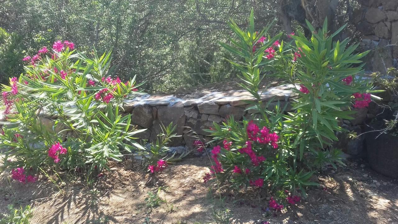 Azienda Agrituristica La Janna Di La Faj 부도니 외부 사진