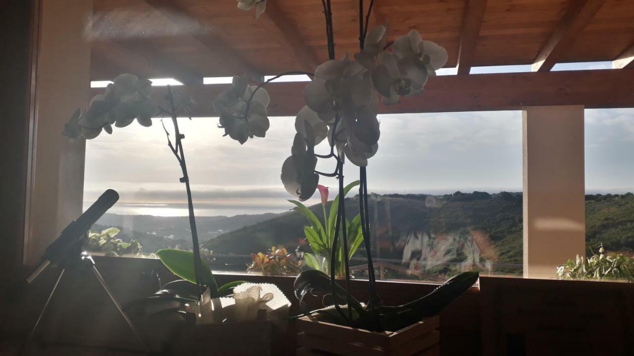 Azienda Agrituristica La Janna Di La Faj 부도니 외부 사진